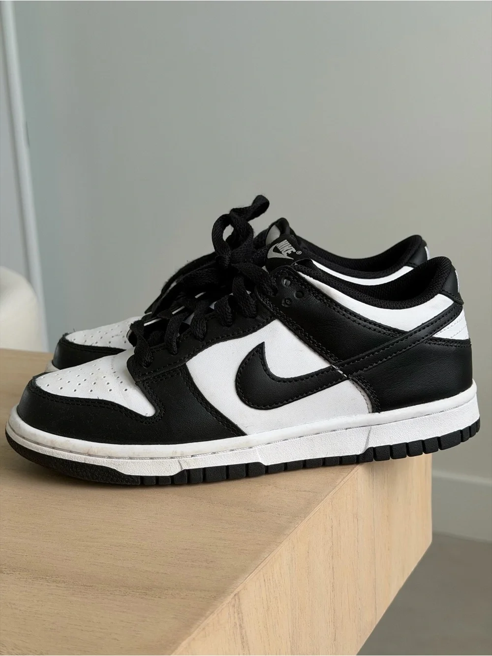 Nike Dunk Low Big Kids' Shoes